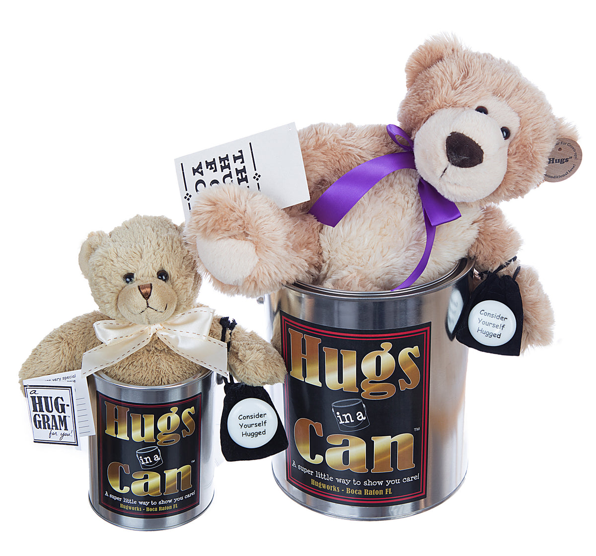 Big Hugs Hug Gram A Unique Creative Teddy Bear Gift Idea HugGram