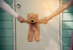 TEDDY-BEAR-SEND-LOVE-HUG
